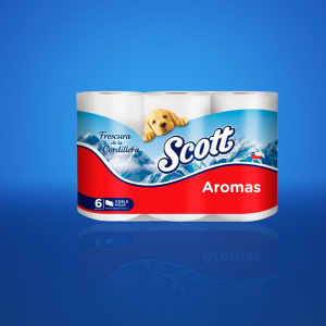 SCOTT 8X6 AROMAS 22 MTS